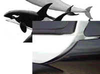 pp2.jpg (16820 Byte)